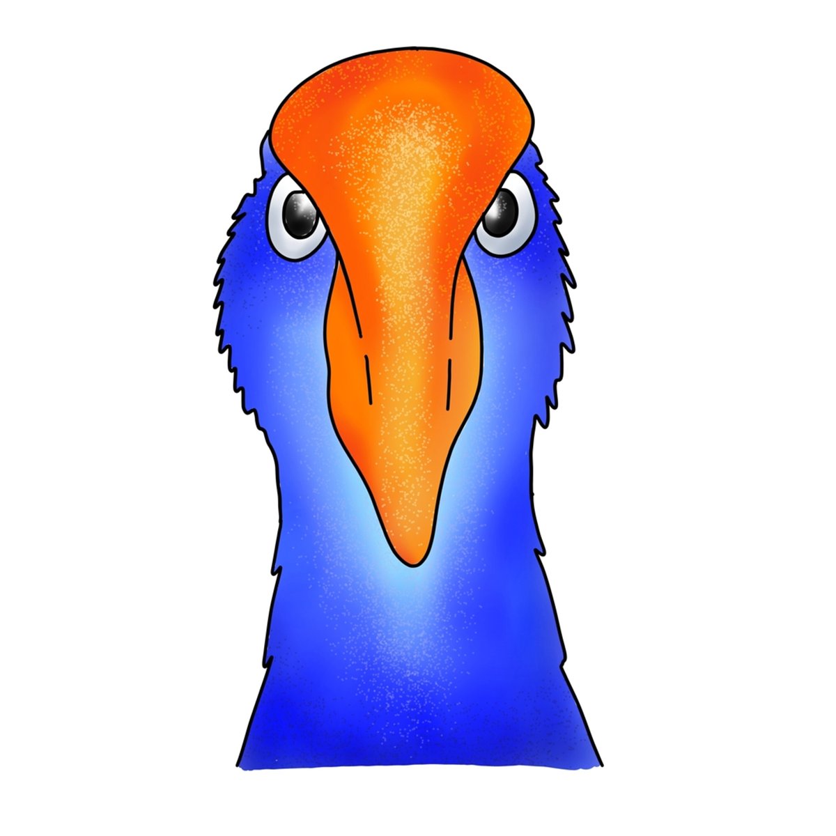 Grumpy pukeko staring straight at you