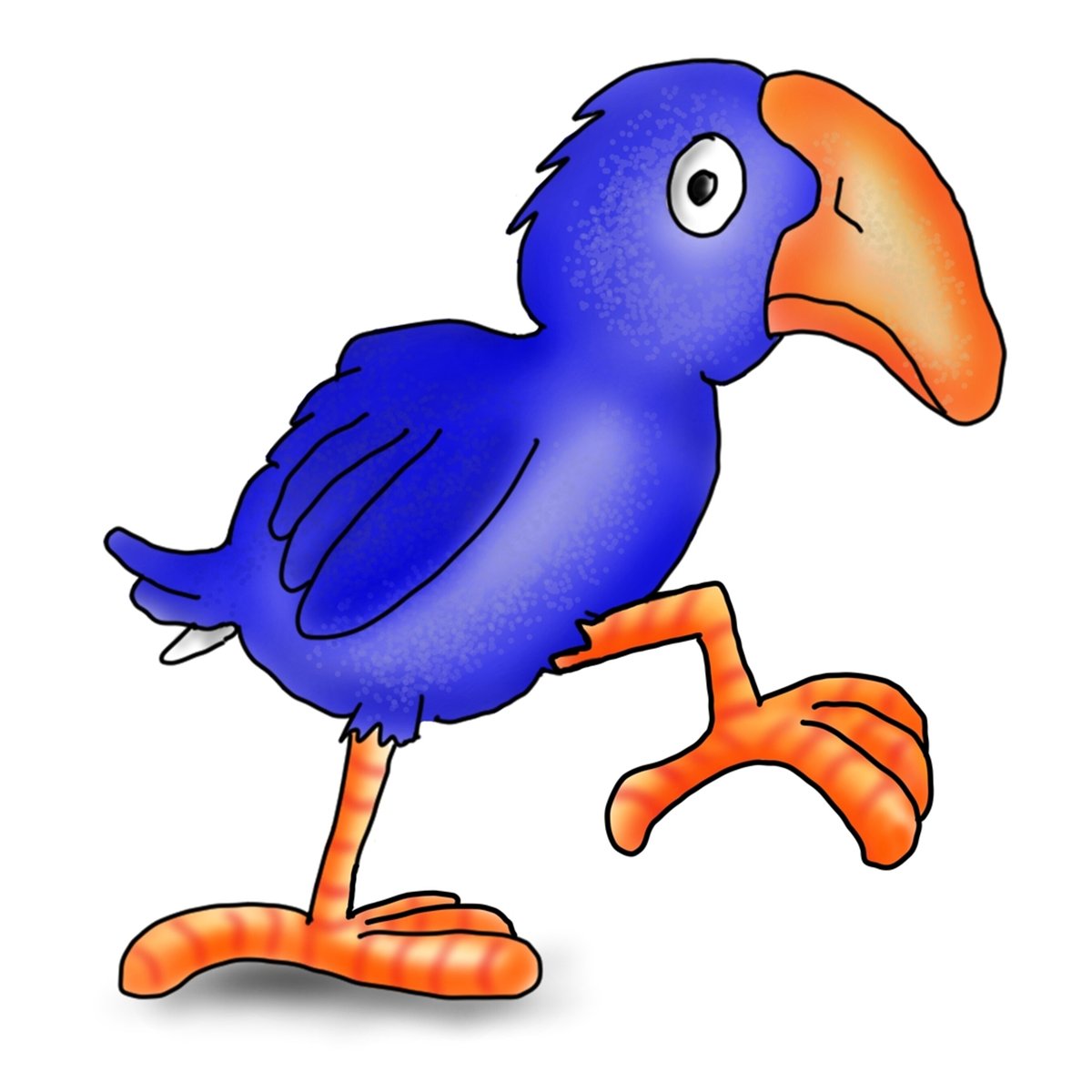 Young pukeko