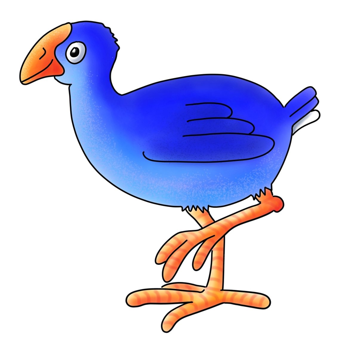 Pukeko prancing
