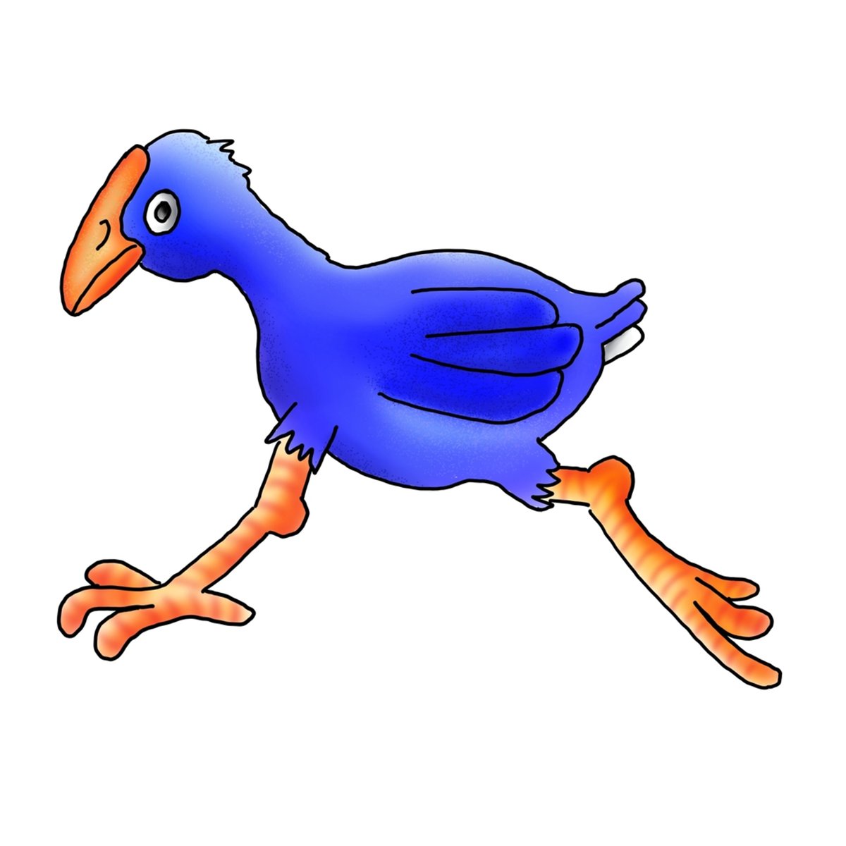 Pukeko running flat out